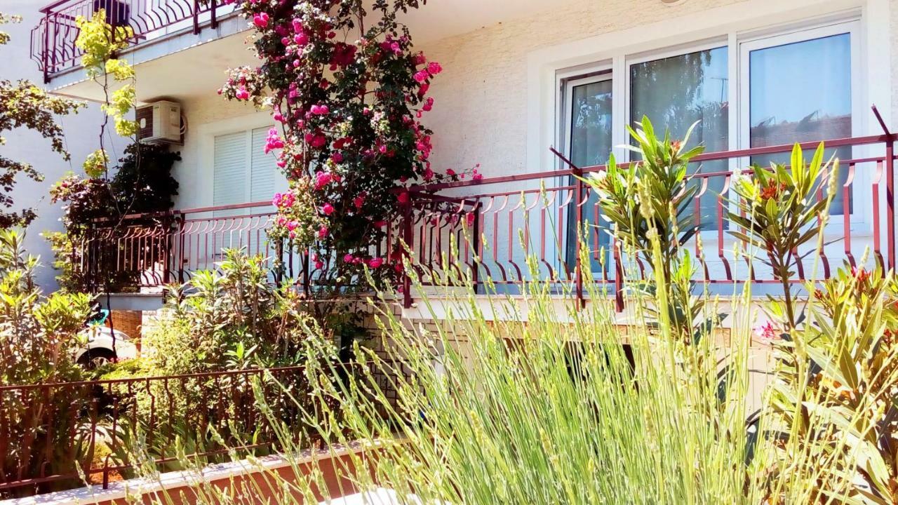 Apartmani Komunela Umag Zewnętrze zdjęcie